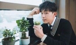 邓伦姚笛最新爆料,揭秘娱乐圈背后的真相与情感纠葛