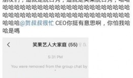 娱乐新闻爆料标题有哪些,明星动向大揭秘！